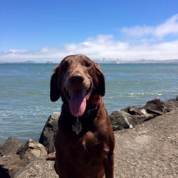 Richardson Bay Park