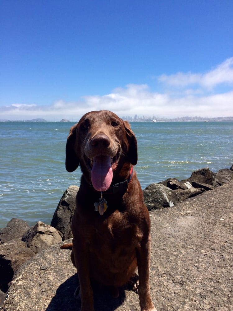 Richardson Bay Park Logo