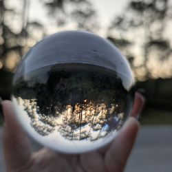 Weekiwachee Preserve
