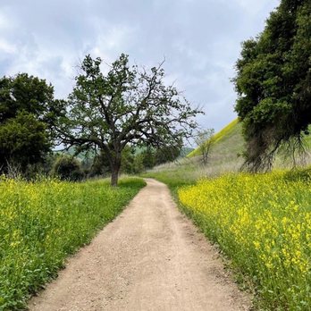 Cheeseboro and Palo Comado Canyon - Hiking Near Me - Agoura, California