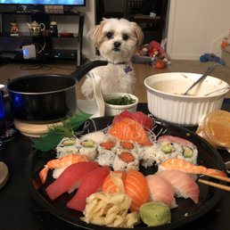 Sashimi
