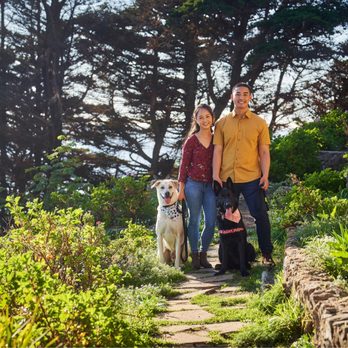 Avery Wong Photography - Engagement shoot with the doggos! - Event Photography Near Me - San Francisco, California