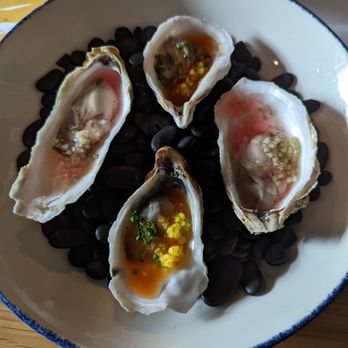 Lazy Tiger - Cold Oysters- 2 kimchi water + pickled daikon and 2 tepache, aleppo pepper, & lime - Cocktail Bars Near Me - St. Louis, Missouri Lazy Tiger - Cold Oysters- 2 kimchi water + pickled daikon and 2 tepache, aleppo pepper, & lime - Cocktail Bars Near Me - St. Louis, Missouri