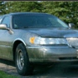 Limos Niagara - Photo