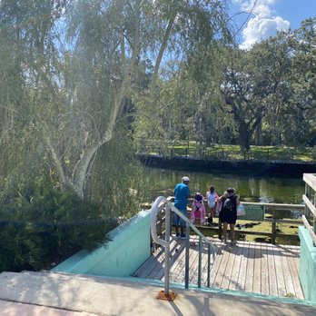 Sulphur Springs Pool - More spring - Swimming Pools Near Me - Tampa, Florida Sulphur Springs Pool - More spring - Swimming Pools Near Me - Tampa, Florida