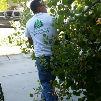 Rogue Valley Tree Care - Tree Services Near Me - White City, Oregon