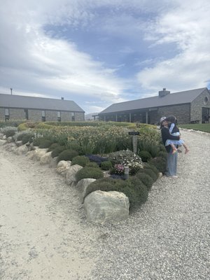 Cardrona Distillery by null