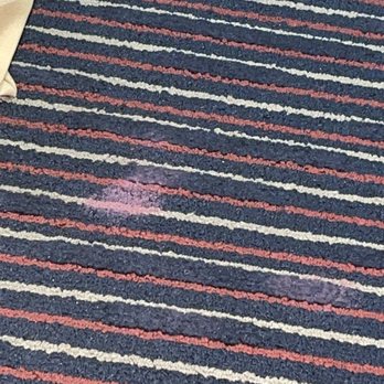 Quality Inn South - More nasty sticky stuff on carpet - Hotels Near Me - Wichita, Kansas Quality Inn South - More nasty sticky stuff on carpet - Hotels Near Me - Wichita, Kansas