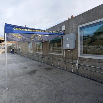 Nimbus Fish Hatchery - Fish viewing windows - Aquariums Near Me - Gold River, California