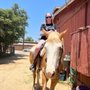 Photo of Griffith Park Horse Rentals