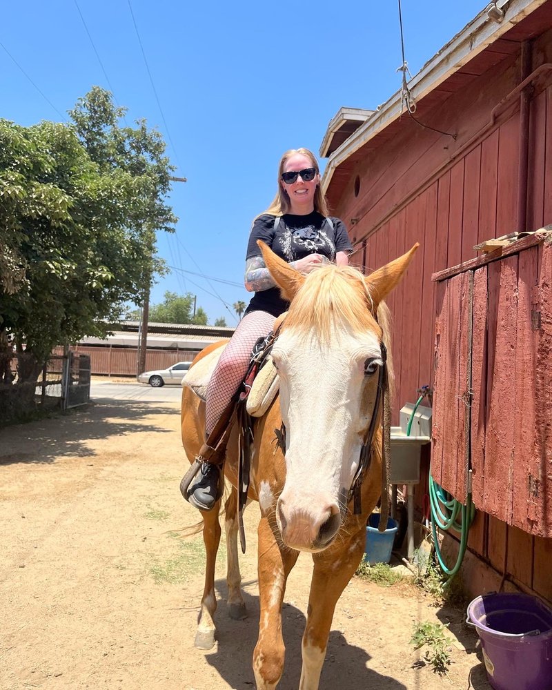 Griffith Park Horse Rentals - equestrian in Glendale, CA