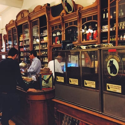 El Gato Negro by null