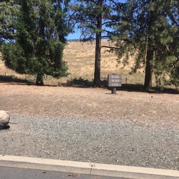 Randolph Collier Rest Area - Randolph C. Rest Area (Pet area) - Rest Stops Near Me - Yreka, California