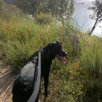 Lake Poway Trail - Hiking Near Me - Lake Poway, California Lake Poway Trail - Hiking Near Me - Lake Poway, California