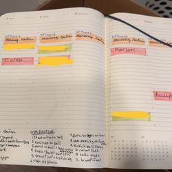West Portland Physical Therapy Clinic - The schedule I made at Rhi's request that she dismissed because I was late to my appointment