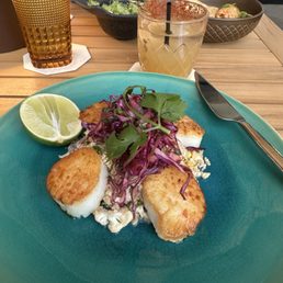Sea scallops! Yum Sea scallops! Yum