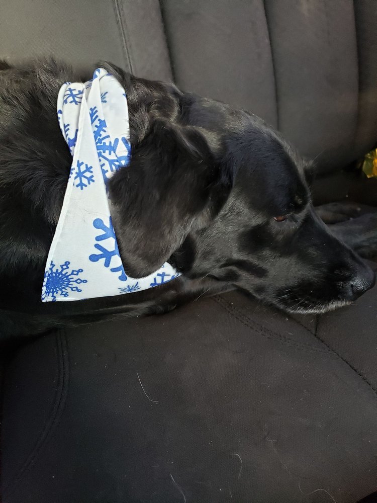 HAPPY TAILS PET RESORT 22 Photos & 12 Reviews 8158 Corydon Ridge Rd