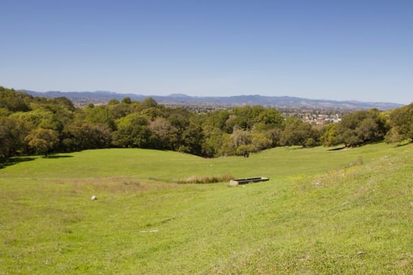 Taylor Mountain Regional Park by null