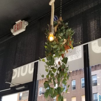 Fuel Juice Bar - Juice Bars & Smoothies Near Me - Brooklyn, New York Fuel Juice Bar - Juice Bars & Smoothies Near Me - Brooklyn, New York