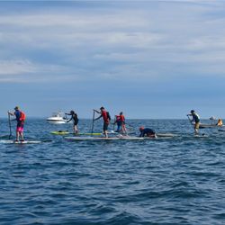 Seacoast Paddleboard Club