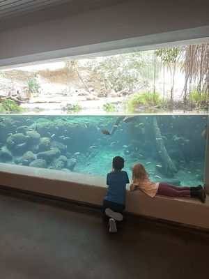 Zoo Basel by null