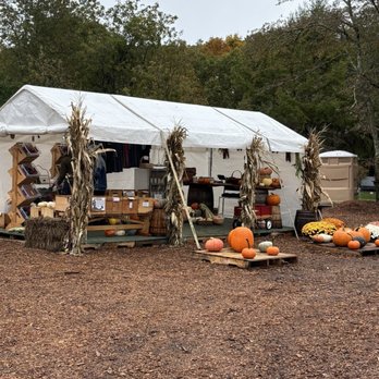 The Hard-Pressed Cider - Farm stand with apple varieties, gourds, and merch - Donuts Near Me - West Greenwich, Rhode Island The Hard-Pressed Cider - Farm stand with apple varieties, gourds, and merch - Donuts Near Me - West Greenwich, Rhode Island