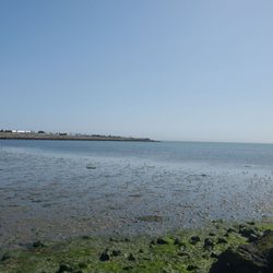 Oyster Point Marina