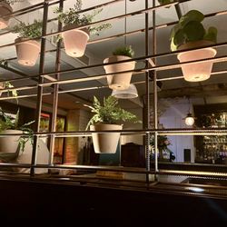 The Botanist - Stealing this idea for my yard