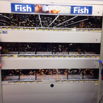 Walmart Supercenter - Aquarium fishes. - Department Stores Near Me - Chula Vista, California Walmart Supercenter - Aquarium fishes. - Department Stores Near Me - Chula Vista, California