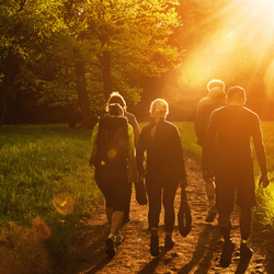 Optimal Performance Medicine
