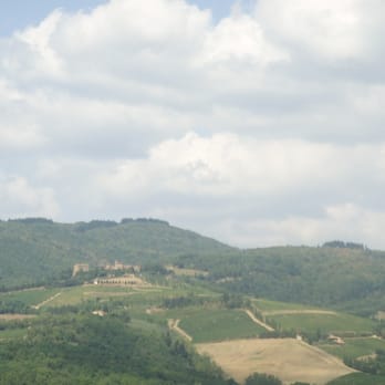 La Bottega - Views from Volpaia - Steakhouses Near Me - Radda In Chianti, SI La Bottega - Views from Volpaia - Steakhouses Near Me - Radda In Chianti, SI