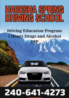 HABESHA SPRING DRIVING SCHOOL - Updated July 2025 - 26 Photos - 8204 ...
