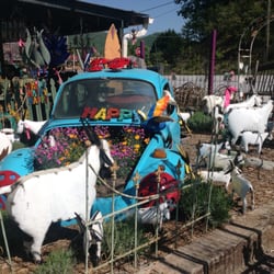 Cindy's Dragonfly - The Doodle Bug Garden