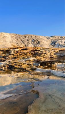 Mammoth Hot Springs by null