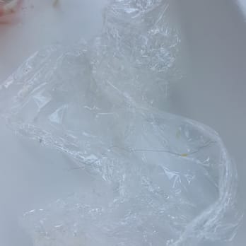 Tru Bru - Hair pulled out of the burrito. Disgusting. Gross. - Coffee & Tea Near Me - Orange, California Tru Bru - Hair pulled out of the burrito. Disgusting. Gross. - Coffee & Tea Near Me - Orange, California