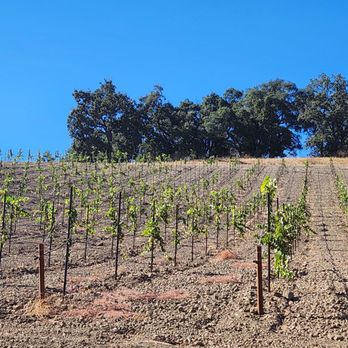 Halter Ranch - Wineries Near Me - Paso Robles, California Halter Ranch - Wineries Near Me - Paso Robles, California