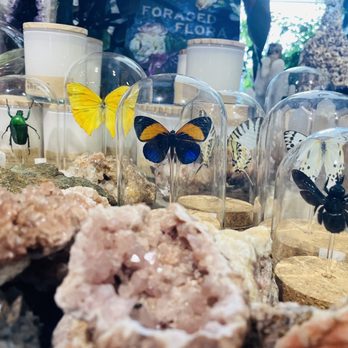 Seed To Stem - Antiques Near Me - Worcester, Massachusetts
