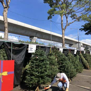 The Home Depot - Christmas Trees! - Hardware Stores Near Me - Pearl City, Hawaii