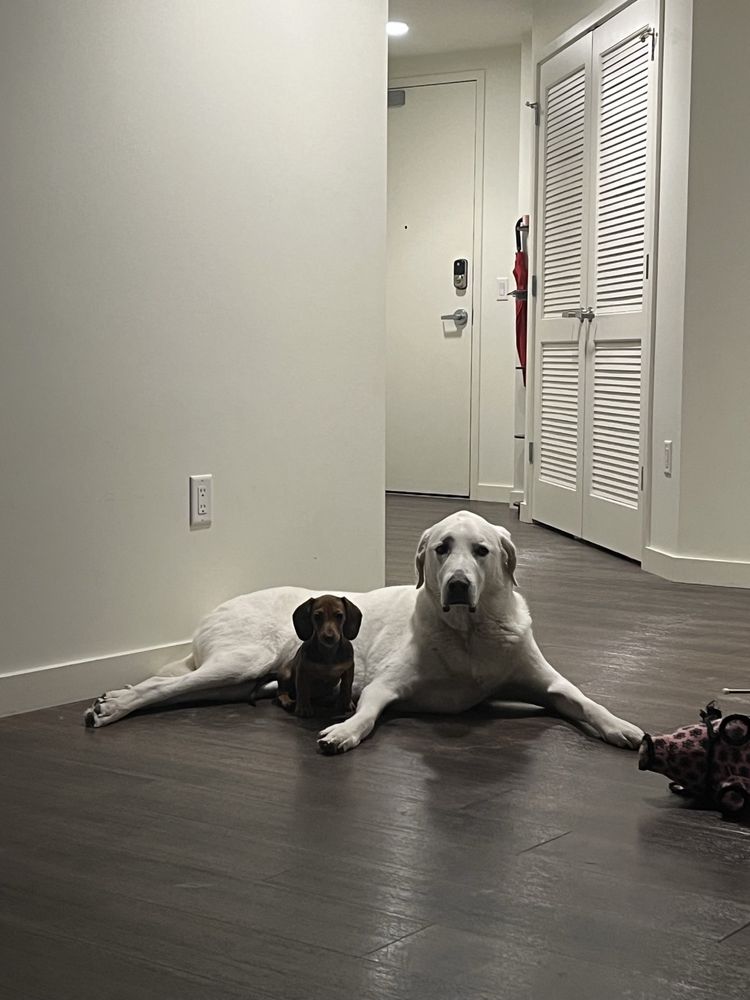 LONE TREE VETERINARY MEDICAL CENTER Updated September 2024 21