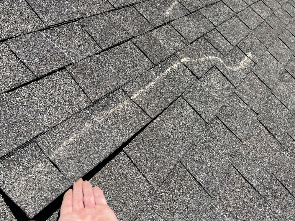 Slide of Chandler Swing