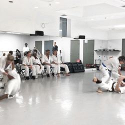 Ronin Kai Karate - Brown Belt exam 2019