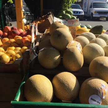 Dan's Farmers Market - Cantaloupes and melons - Fruits & Veggies Near Me - Alameda, California Dan's Farmers Market - Cantaloupes and melons - Fruits & Veggies Near Me - Alameda, California