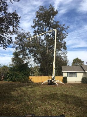 Tree Removal - Having Professional, Experienced Supervisors on Every Site Means We Always Provide the Highest Quality Services Possible.
Twisted Tree Service is a professional and insured tree service that is committed to providing you with quality workmanship and exceptional customer service.

Twisted Tree Service is the leading provider of quality and affordable tree care services in Macon Georgia and surrounding areas. As a locally operated and family-owned business, we are committed to building long-lasting relationships with our clients by providing a full range of quality tree care services at rates that won’t break their budget.

Whether you need a single tree removed or a complete yard overhaul, Twisted Tree Service is here to help. Our team of experts is just a phone call away. Contact us now at 478-550-3504 for a free initial consultation and no-obligation estimate.