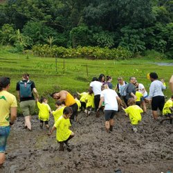 Strode Montessori Preschool - Our field trip to Papahana Kuaola