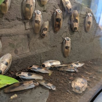 Audubon Insectarium - Zoos Near Me - New Orleans, Louisiana Audubon Insectarium - Zoos Near Me - New Orleans, Louisiana