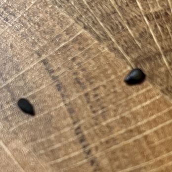 Pvd Noodle Bar - Zoomed in high res sesame seeds at my house, no poop dimples - Noodles Near Me - Providence, Rhode Island Pvd Noodle Bar - Zoomed in high res sesame seeds at my house, no poop dimples - Noodles Near Me - Providence, Rhode Island