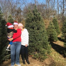 Dealker's Farm Christmas Trees