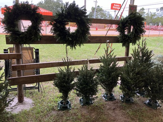 Creston christmas tree