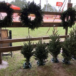 Creston Farms Christmas Trees