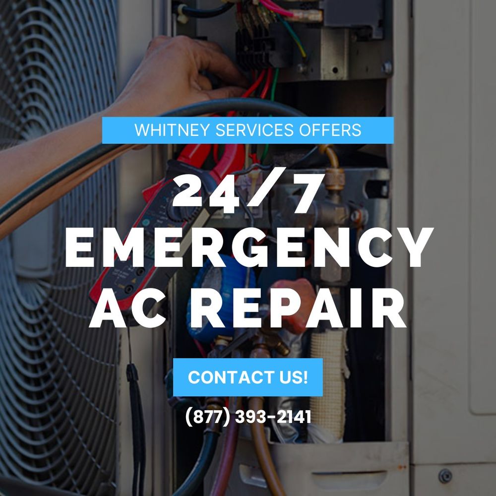 Slide of Whitney Services